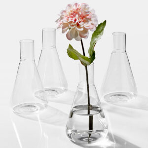 Chemist Flask Bud Glass Vase